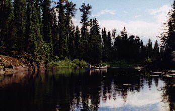 Scene2.jpg (18954 bytes)