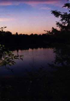Scene8.jpg (9966 bytes)