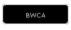 BWCA